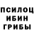 Галлюциногенные грибы прущие грибы _GISAEV95_