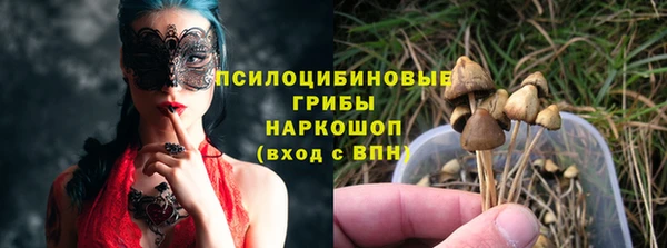 герыч Алексин