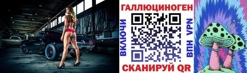 Галлюциногенные грибы Psilocybe  Пугачёв 